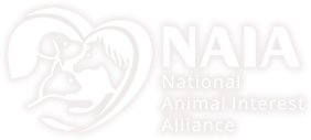 Save Our Dogs
